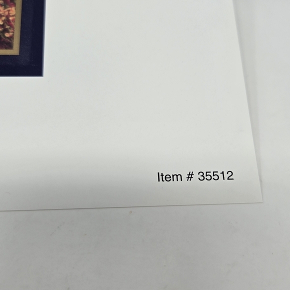 VINTAGE THOMAS KINKADE MATTED COLLECTOR'S PRINT SUNDAY AT APPLE HILL FARMHOUSE - Picture 12 of 14